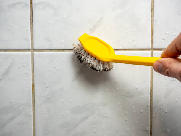 Best White Mold Remediation in Rose Hills, CA