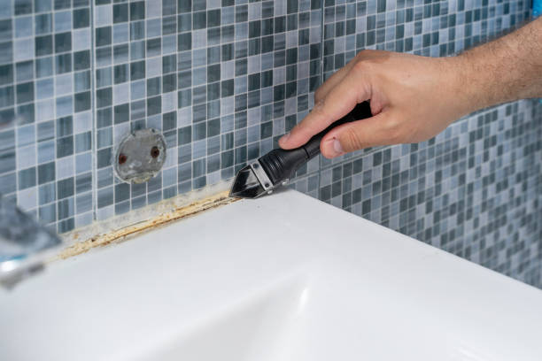 Best Bathroom Mold Remediation in Rose Hills, CA