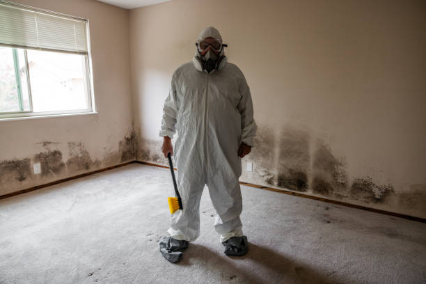 Best Emergency Mold Remediation in Rose Hills, CA